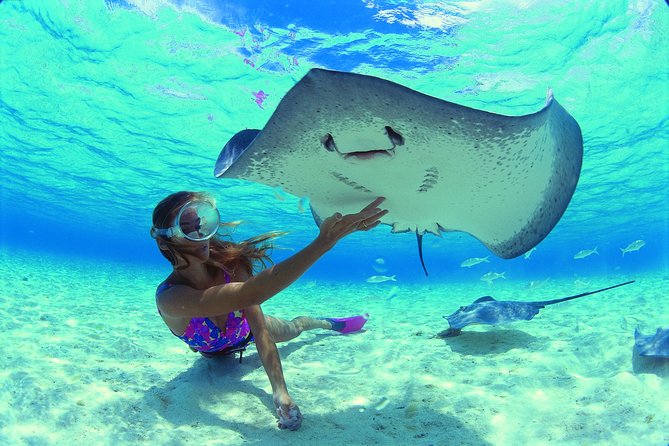Half Day Tour : Moorea Snorkeling & Sailing on a Catamaran named Taboo - Sailing, motoring and the role of weather