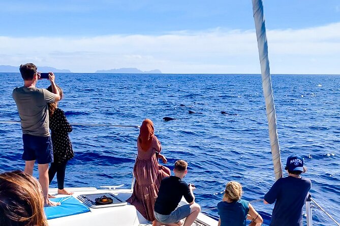Half Day Tour on a Luxury Catamaran on Madeira Island - Who will enjoy this catamaran trip?