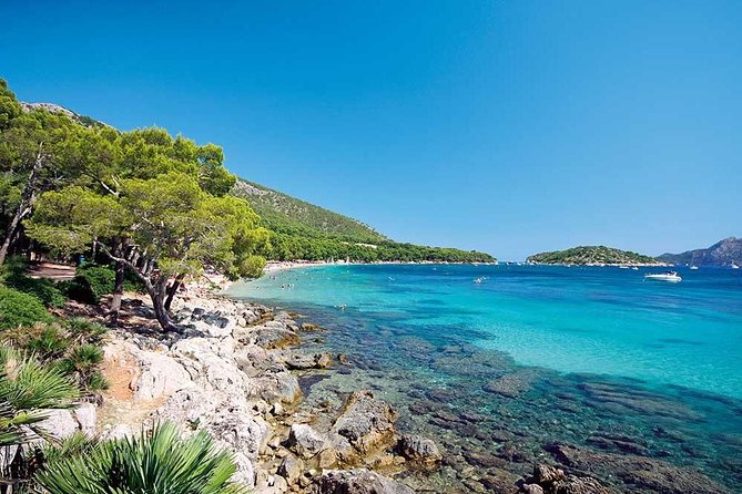 Half-Day Visit to Formentor Beach by Catamaran - Is the $46.95 price good value?