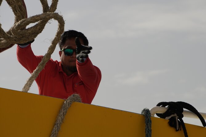 Highspeed Catamaran Crossing Between Malta and Gozo - Booking, timing, and cancellation details