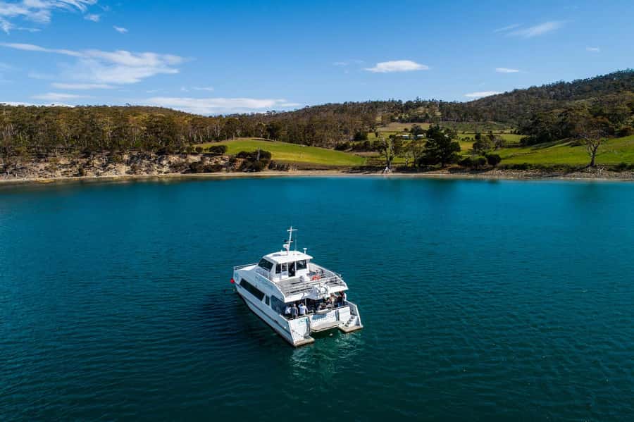 Hobart: Ultimate Seafood Cruise on a Spacious Catamaran - Key points to know before booking
