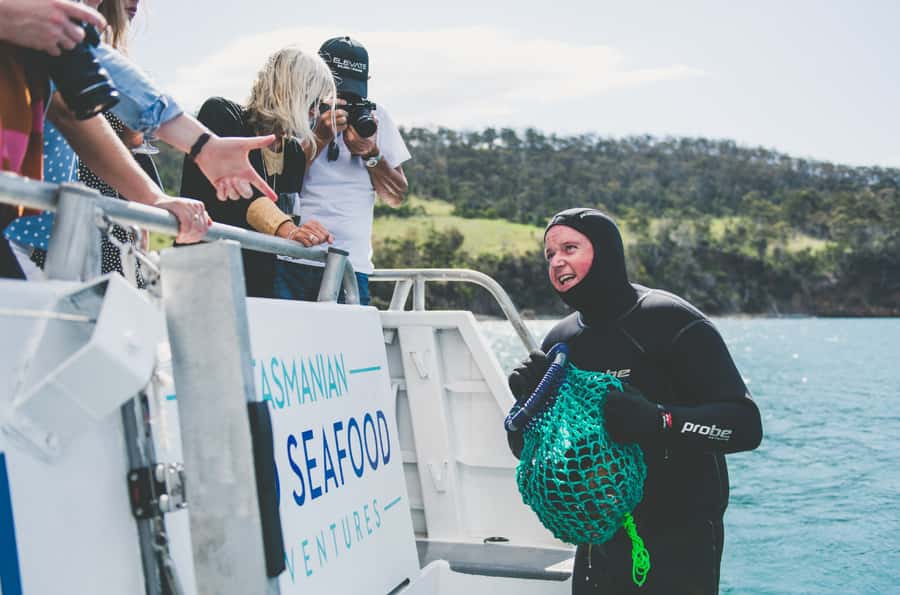 Hobart: Ultimate Seafood Cruise on a Spacious Catamaran - Northern Bruny Island gives the meal a sense of place