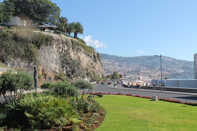 Hop-on Hop-off Bus Tour and Catamaran Whale & Dolphin Watching - Stops 21 to 29: hotels, cruise docks, and the design center