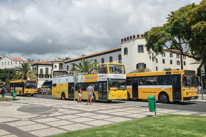 Hop-on Hop-off Bus Tour and Catamaran Whale & Dolphin Watching - Who will get the most from this tour