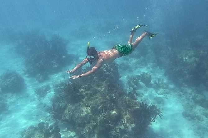 Icacos Deserted Island Catamaran, Snorkel, and Picnic Cruise - Lunch is casual, filling, and easy to customize