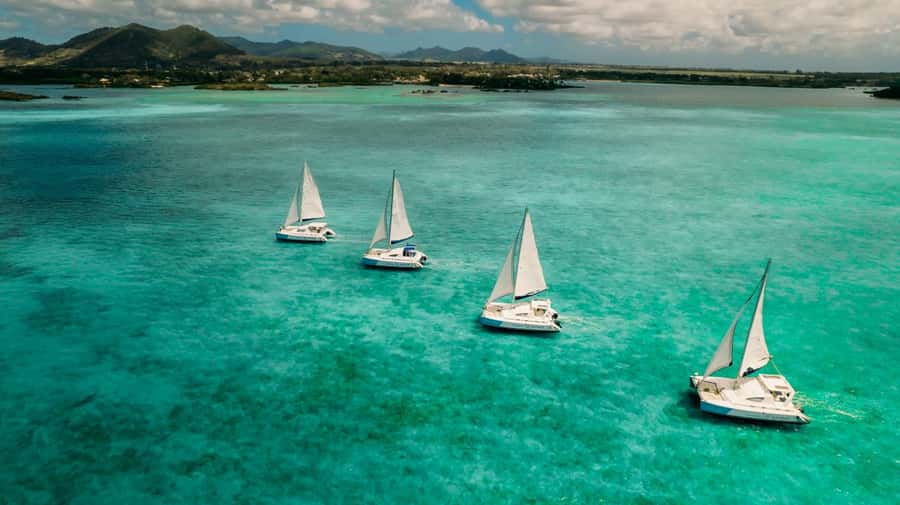 Ile Aux Cerfs: Catamaran Cruise, island, waterfalls, Lunch - Who should book this catamaran day?