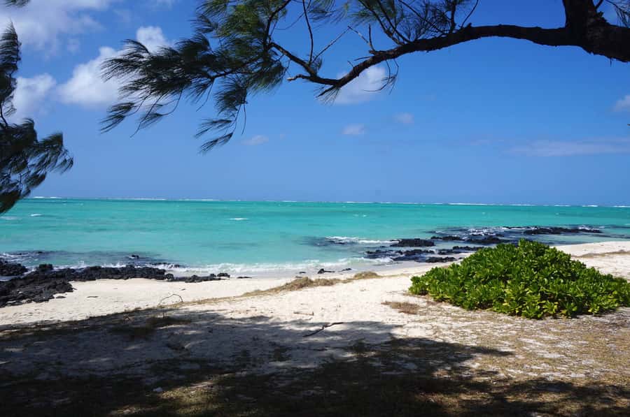 Ile Aux Cerfs Catamaran Cruise sailing from Mahebourg - Snorkeling at Eau Bleu