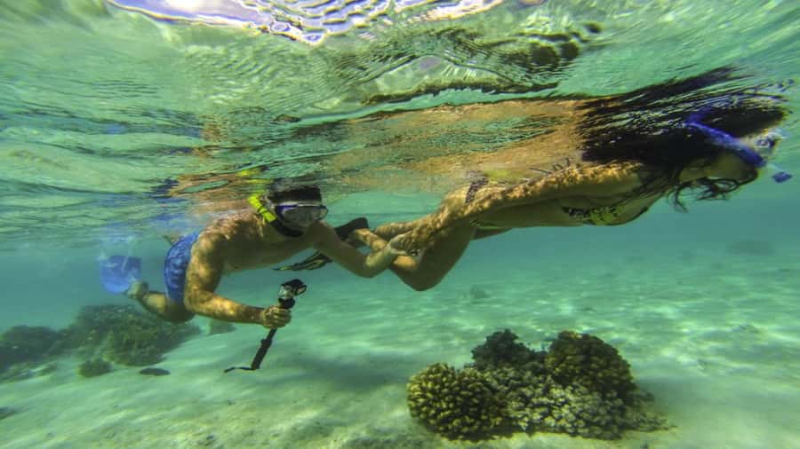 Ile Aux Cerfs Catamaran Cruise & Waterfalls- Lunch & Drinks - BBQ Lunch With Beer, Wine, and Local Rum