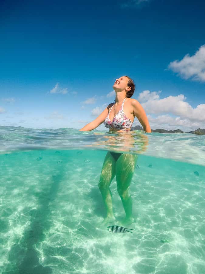 Ile aux Cerfs: The very best day by catamaran. - Grand River South East Waterfall in 30 minutes