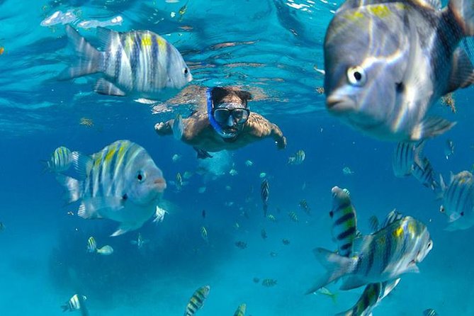 Isla Mujeres Catamaran Adventure All Inclusive from Cancun - Snorkeling at El Meco Reef