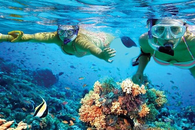 Isla Mujeres Catamaran, Open Bar & Optional Buffet and pick up - Sailing across the Caribbean