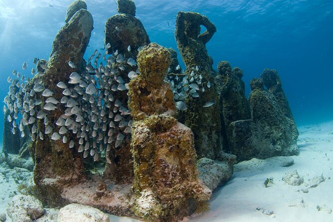 Isla Mujeres Catamaran Tour with Snorkeling at MUSA, Buffet Lunch & Open Bar - Who will enjoy this day most