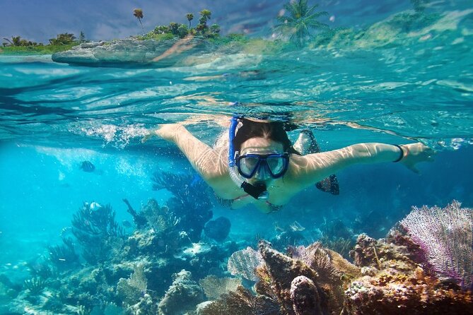 Isla Mujeres Catamaran Tour with Snorkeling, Open Bar & Buffet - How to make the day work better