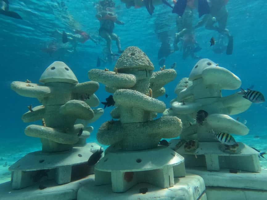 Isla Mujeres: Full Day Private Catamaran with Snorkeling - A private catamaran day built around your group