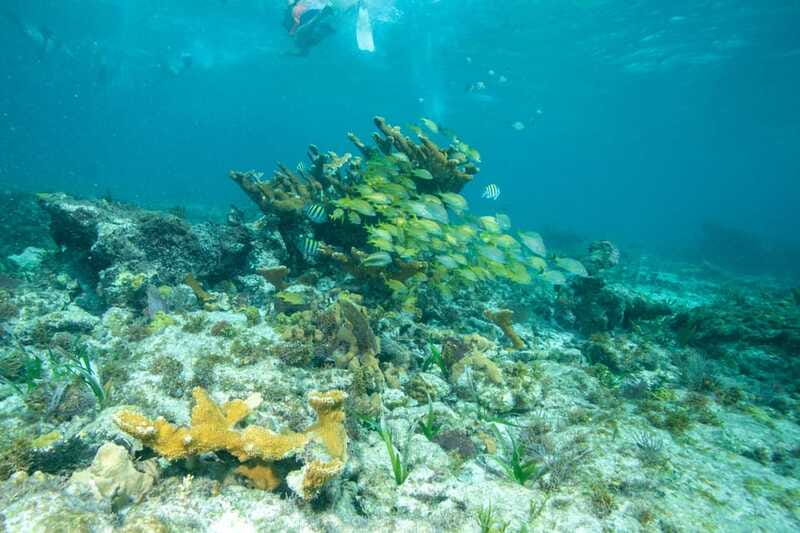 Isla Mujeres: Full Day Private Catamaran with Snorkeling - Pickup, extra fees, and the real price