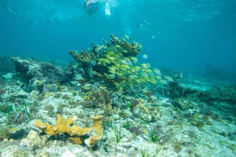 Isla Mujeres: Full Day Private Catamaran with Snorkeling - The 36-foot boat: sunny net, shade, and a little bathroom