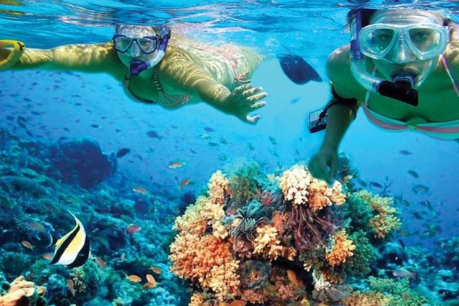 Isla Mujeres tour in a Catamaran with snorkel, open bar, lunch - Isla Mujeres beach-club time