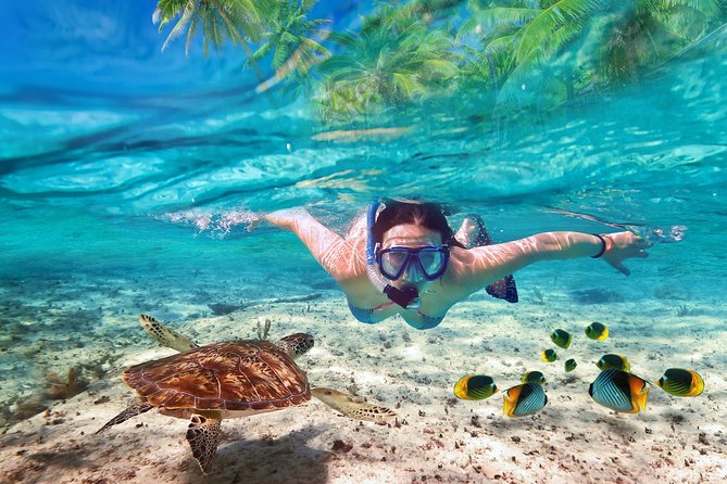 Isla Mujeres tour in a Catamaran with snorkel, open bar, lunch - The reef stop and what snorkeling is really like