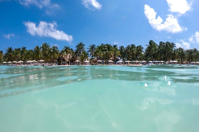 Isla Mujeres Tour on Catamaran with Snorkel, Open Bar, Buffet & Beach club - Who Will Enjoy This Tour Most