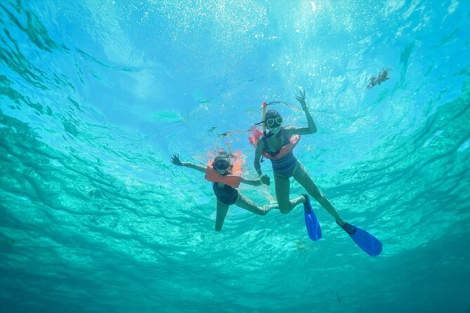 Isla Mujeres Unlimited Awesome Catamaran with Transfer from Playa del Carmen - One hour at Playa Norte