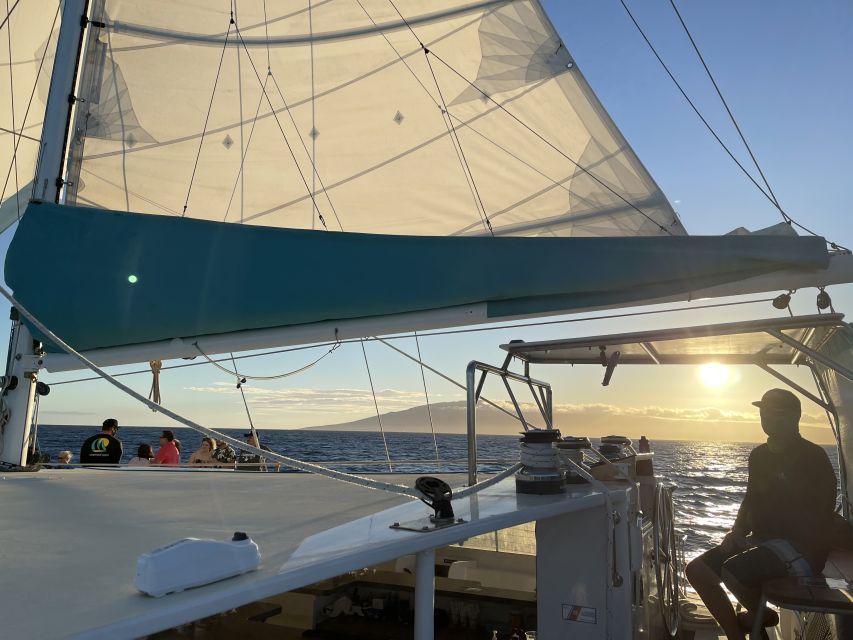 Kaanapali: Sunset Dinner Catamaran Cruise With Drinks - Should you book the Sea Maui sunset dinner cruise?
