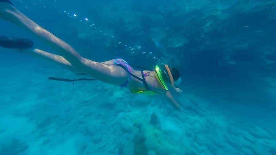 Key West: Catamaran Snorkel with Seafood Boil and Open Bar - Key points to know before you book