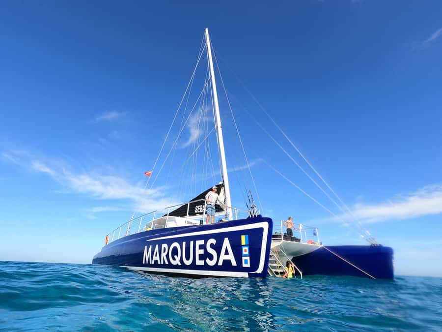 Key West: Catamaran Snorkel with Seafood Boil and Open Bar - The seafood boil is the trip’s welcome reward
