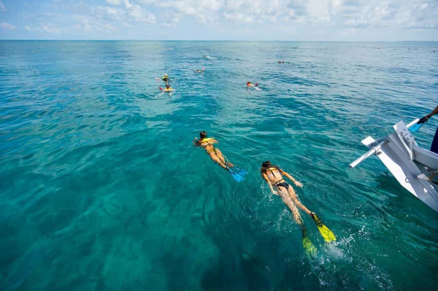 Key West: Catamaran Snorkel with Seafood Boil and Open Bar - Should you book the Key West catamaran trip?