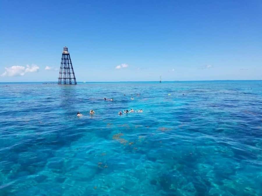 Key West: Catamaran Snorkel with Seafood Boil and Open Bar - Two snorkeling stops, with Sand Key a possible highlight