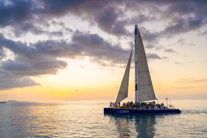 Key West Champagne Sunset Catamaran Cruise - Wildlife watching from the catamaran