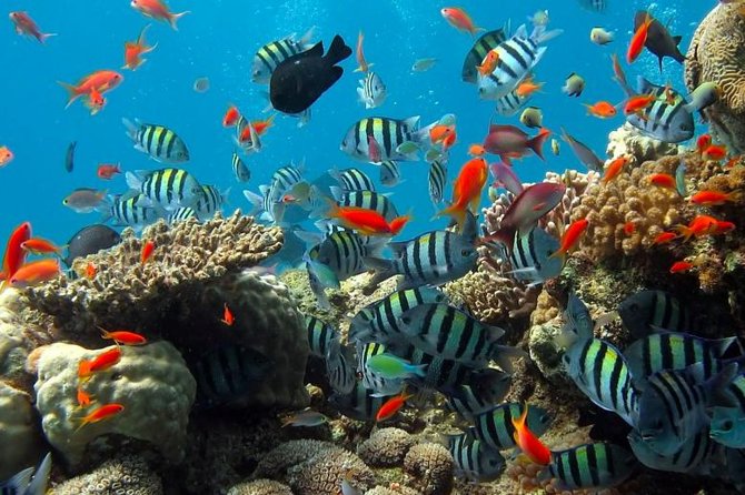 Kings Warf Catamaran Cruise, Snorkel & Refreshments - What you see on the coastal sail