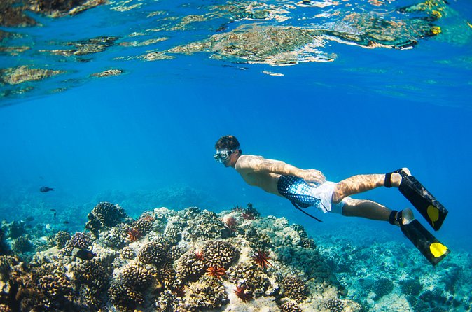 Kings Warf Catamaran Cruise, Snorkel & Refreshments - Important booking concerns
