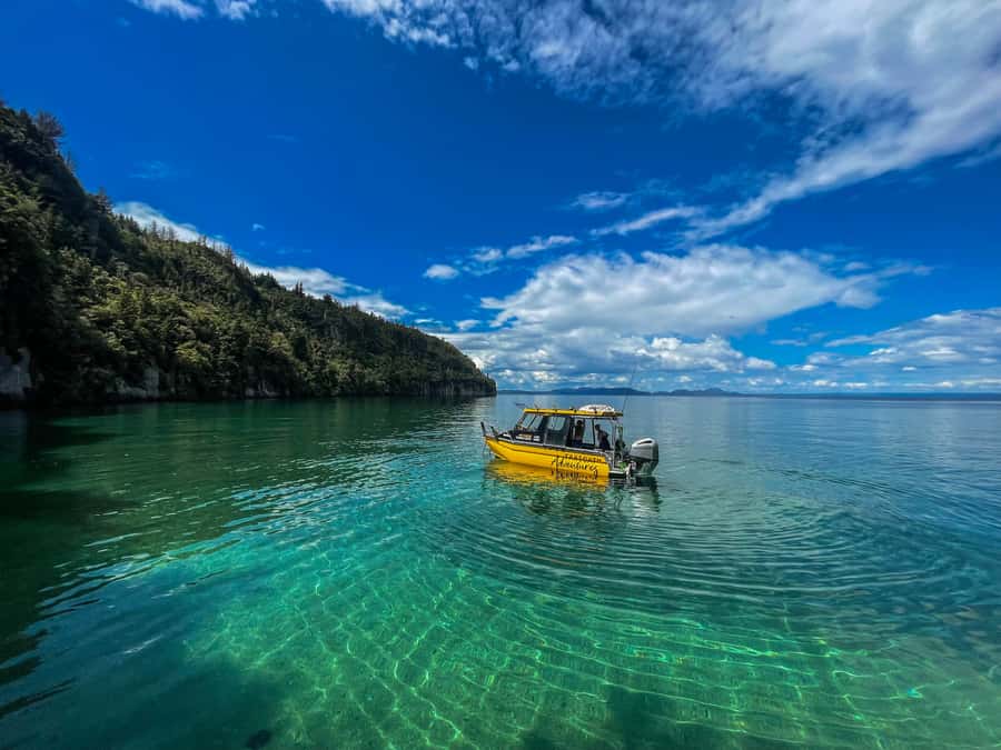 Kinloch: Lake Taupo Catamaran Cruise with Paddleboarding - Volcanic rock and waterfalls up close