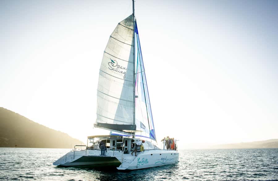 Knysna: Luxury Catamaran Marine Adventure Tour - What the mixed feedback tells me
