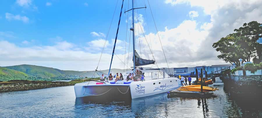 Knysna: Luxury Catamaran Marine Adventure Tour - Practical preparation for the jetty