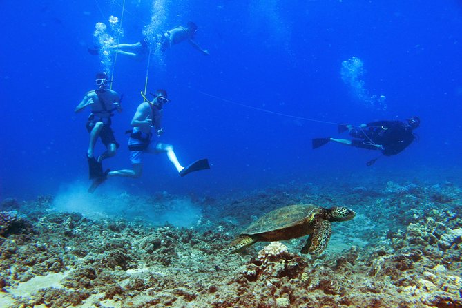 Ko Olina Catamaran Sail and Snorkel with Lunch - Lunch, cocktails, and an easy return sail