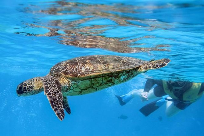 Ko Olina Catamaran Sail and Snorkel with Lunch - Timing and cancellation details that matter