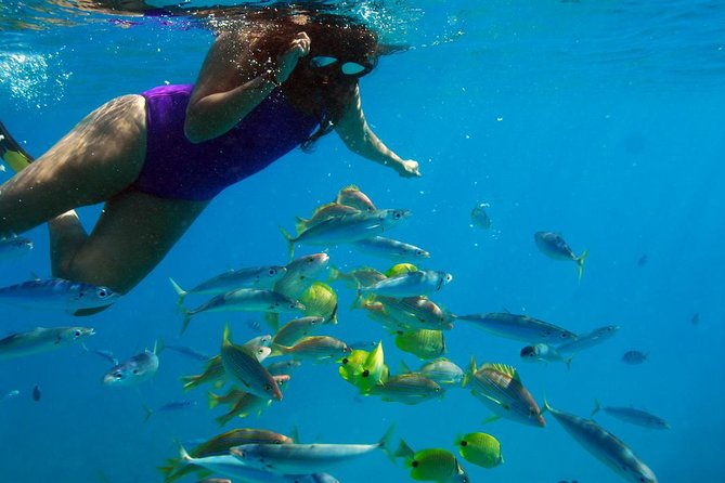 Ko Olina Catamaran Sail and Snorkel with Lunch - My take: should you book it?