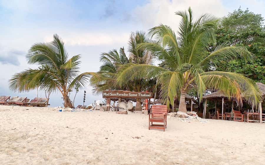 Koh Samui: Koh Tan and Koh Madsum Half-Day Tour by Catamaran - Should you book Koh Tan and Koh Madsum?