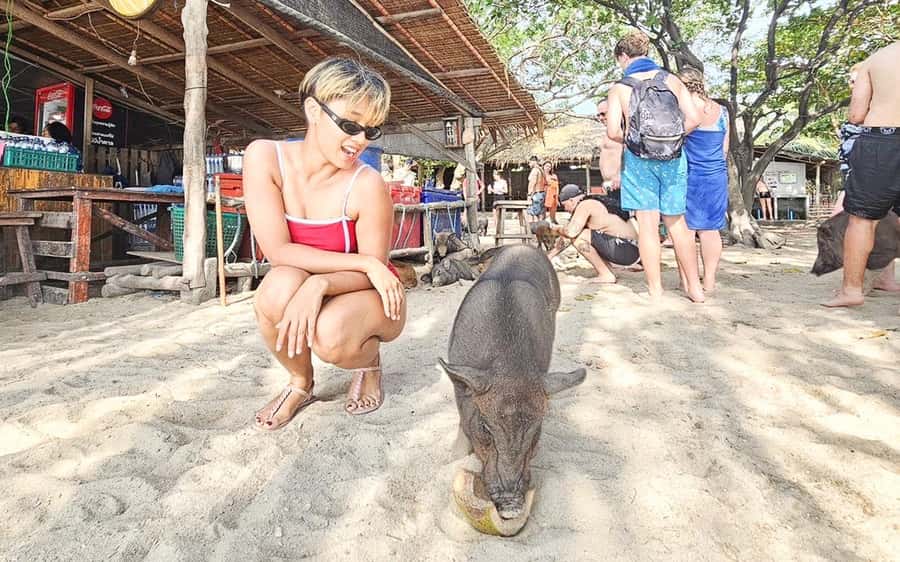 Koh Samui: Koh Tan and Koh Madsum Half-Day Tour by Catamaran - Timing, comfort, and practical drawbacks