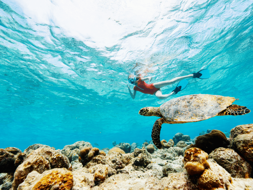 Koh Samui: Koh Tao and Nangyuan Snorkeling Tour by Catamaran - Who should book this Koh Tao trip?