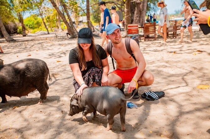 Koh Tan and Pig Island Half-Day Tour by Speed Catamaran - Key points to know before booking