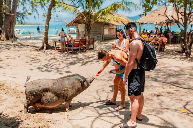 Koh Tan and Pig Island Half-Day Tour by Speed Catamaran - Two islands, one busy half-day on the water