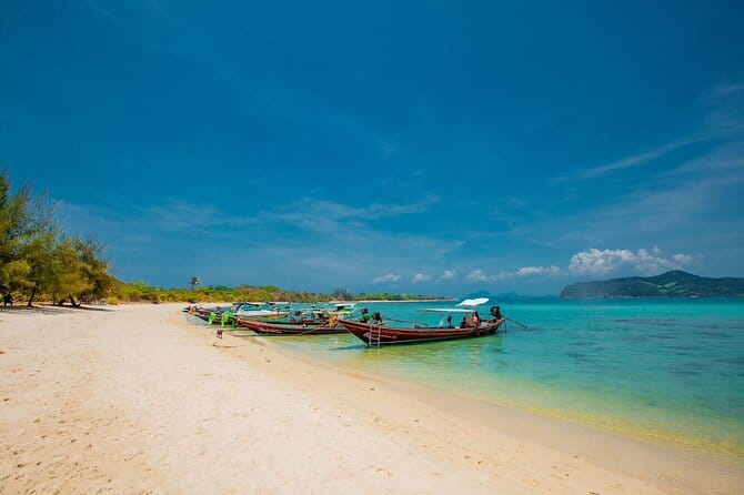 Koh Tan and Pig Island Half-Day Tour by Speed Catamaran - The catamaran atmosphere and group size