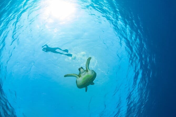 Koh Tan and Pig Island Half-Day Tour by Speed Catamaran - Who will enjoy this Koh Samui tour