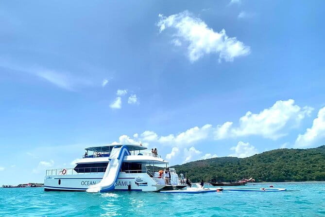 Koh Tan and Pig Island Half-Day Tour by Speed Catamaran - Pig Island: cute animals with a messy side