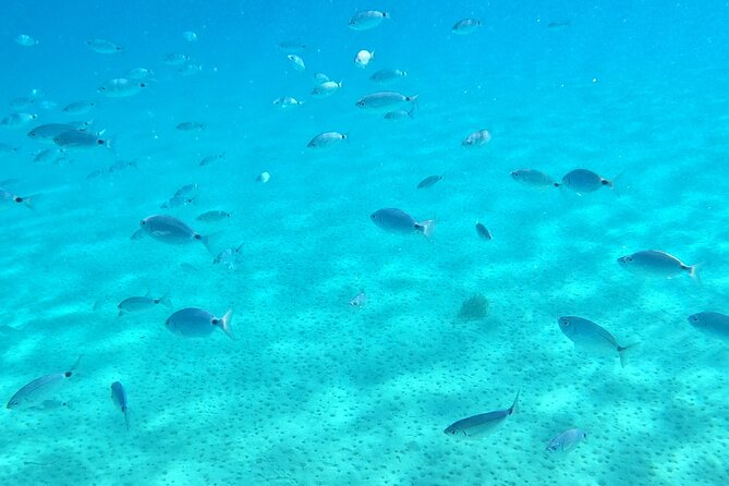 Kos: Catamaran Small Group Full-Day trip with Meal, Drinks, Swim - Who will enjoy this Kos catamaran trip