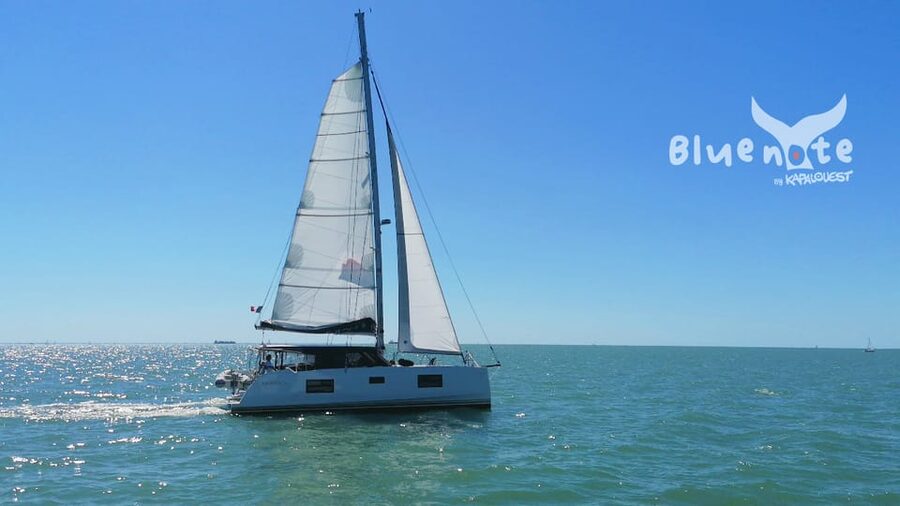 La Flotte, Ile de Ré: Sailing Catamaran Cruise - Following the Baie de Loix by catamaran