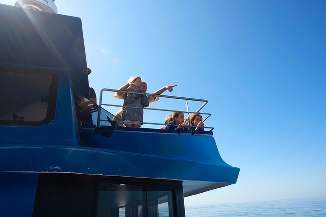 Lagos: Dolphins & Benagil Caves – Catamaran - Looking for Dolphins in the Wild