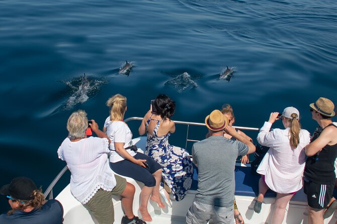 Lagos: Dolphins & Benagil Caves – Catamaran - Swimming, Jumping, and the Inflatable Slide